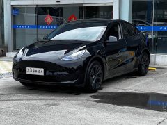 Tesla Model Y Rear-Wheel Drive - ფოტო 3