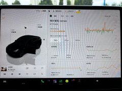 Tesla Model Y Rear-Wheel Drive - ფოტო 9