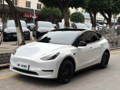 Tesla Model Y Long Range All-Wheel Drive - ფოტო 1