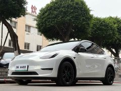 Tesla Model Y Long Range All-Wheel Drive - ფოტო 10