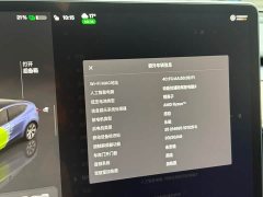 Tesla Model Y Long Range All-Wheel Drive - ფოტო 3