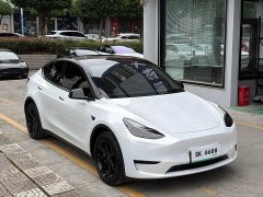 Tesla Model Y Long Range All-Wheel Drive - ფოტო 4