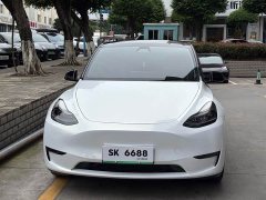 Tesla Model Y Long Range All-Wheel Drive - ფოტო 6