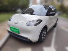 Wuling Binguo 333km Joy Edition - ფოტო 1