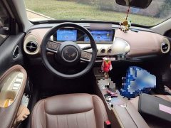 Wuling Binguo 333km Joy Edition - ფოტო 10