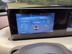 Wuling Binguo 333km Joy Edition - ფოტო 12