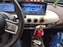Wuling Binguo 333km Joy Edition - ფოტო 14