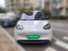 Wuling Binguo 333km Joy Edition - ფოტო 2