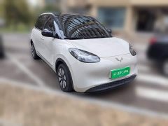Wuling Binguo 333km Joy Edition - ფოტო 3