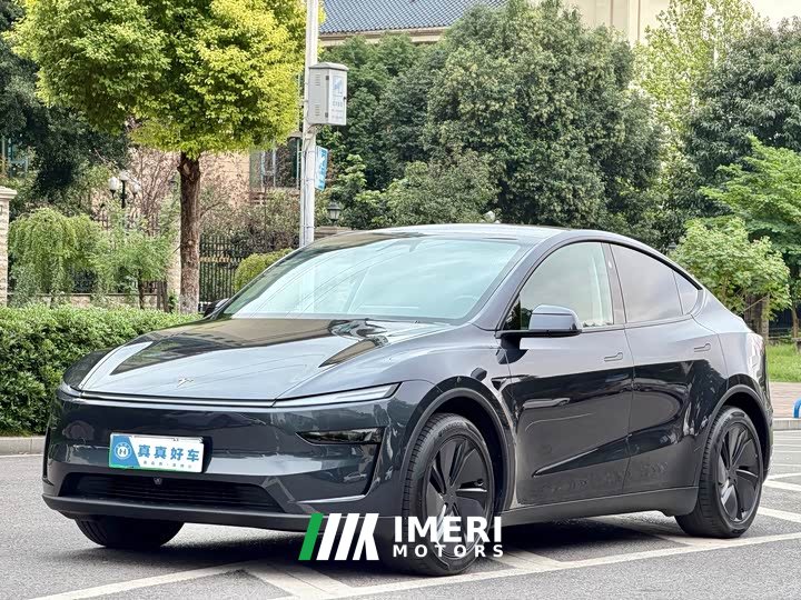 Tesla Model Y Long Range All-Wheel Drive - car from China