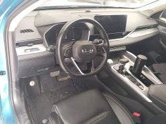 Geely Xingrui 2.0T Diesel Luxury Plus - photo 12