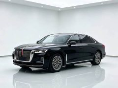 FAW Hongqi H5 1.5T DCT ZhiLian Qiyue Edition - photo 6