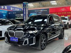 BMW X5 xDrive 30Li M Sport Premium Package - фото 1