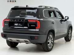 Great Wall Dachshund 1.5T DCT Two-Wheel Drive Border Collie Edition - photo 5