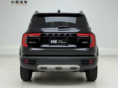 Great Wall Dachshund 1.5T DCT Two-Wheel Drive Border Collie Edition - photo 6