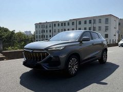 Changan Oushang X5 Sport Edition 1.5T DCT Whirlwind Assault - photo 1