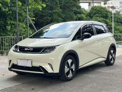 BYD Dolphin Glory Edition 420km Freedom Version - ფოტო 1