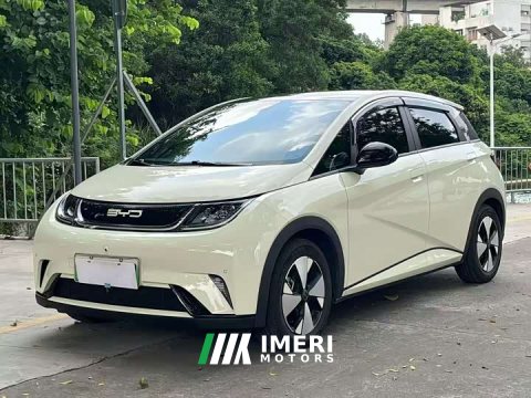 2024 BYD Dolphin Glory Edition 420km Freedom Version - car from China