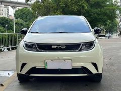 BYD Dolphin Glory Edition 420km Freedom Version - ფოტო 2