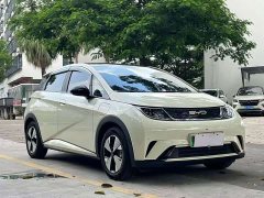 BYD Dolphin Glory Edition 420km Freedom Version - ფოტო 3