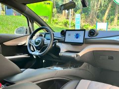 BYD Dolphin Glory Edition 420km Freedom Version - ფოტო 4