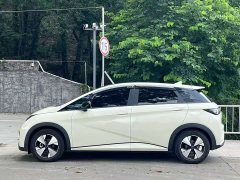 BYD Dolphin Glory Edition 420km Freedom Version - ფოტო 6