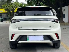 BYD Dolphin Glory Edition 420km Freedom Version - ფოტო 7