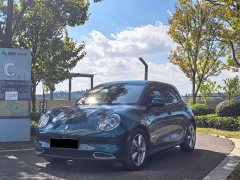 ORA Good Cat 401km Standard Range Luxury LFP - ფოტო 1