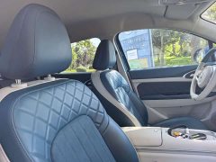 ORA Good Cat 401km Standard Range Luxury LFP - ფოტო 12