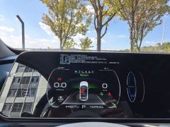ORA Good Cat 401km Standard Range Luxury LFP - ფოტო 19