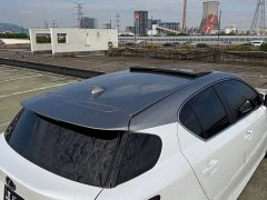 Lexus CT CT200h Comfort Edition Two-Tone Paint - ფოტო 7