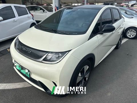 2023 BYD Dolphin 420km Fashion Edition - car from China