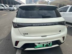 BYD Dolphin 420km Fashion Edition - ფოტო 16