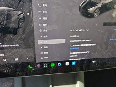 Tesla Model Y Rear-Wheel Drive - ფოტო 14