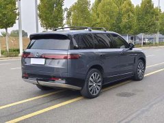 Denza N9 Flagship - ფოტო 8