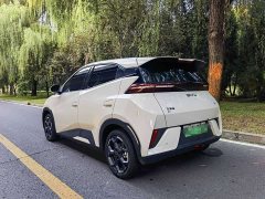 BYD Seagull Glory Edition 305km Freedom Version - фото 2