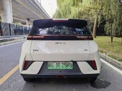 BYD Seagull Glory Edition 305km Freedom Version - фото 3