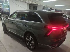 Great Wall WEY Blue Mountain Four-Wheel Drive Max - ფოტო 7
