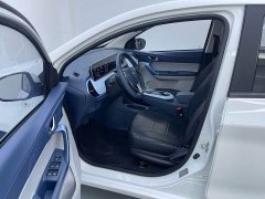 Changan Benben E-Star Pure Heart Edition Multicolor LFP - ფოტო 4