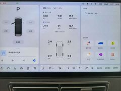 Li Auto Li Xiang MEGA Ultra - ფოტო 10