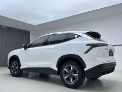 Jetour Jietu Dasheng 1.5T DCT Starlight PRO - photo 4
