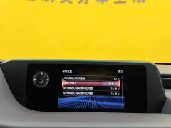Lexus ES 300h Premium Edition - ფოტო 15