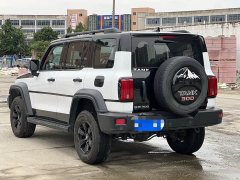 Tank 300 Off-Road Edition 2.0T Conqueror - photo 6