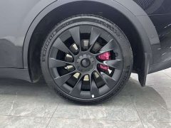 Tesla Model Y Rear-Wheel Drive - ფოტო 19