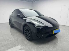 Tesla Model Y Rear-Wheel Drive - ფოტო 3