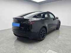 Tesla Model Y Rear-Wheel Drive - ფოტო 8