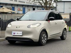 Wuling Binguo 333km Lingxi Connected Edition - ფოტო 1