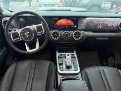 Tank 300 Off-Road Edition 2.0T Conqueror - ფოტო 12