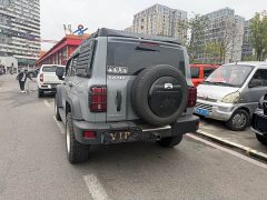 Tank 300 Off-Road Edition 2.0T Conqueror - ფოტო 4