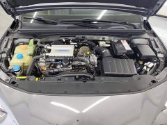 Trumpchi Yingbao 270T DCT J15 - photo 10